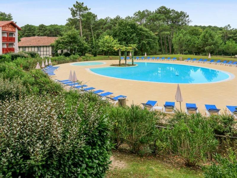 Le Domaine De Gascogne - Appartement 2 Pieces 4/5 Personnes بيسكاروس المظهر الخارجي الصورة